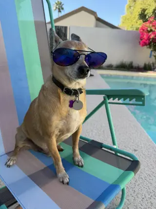 Coco