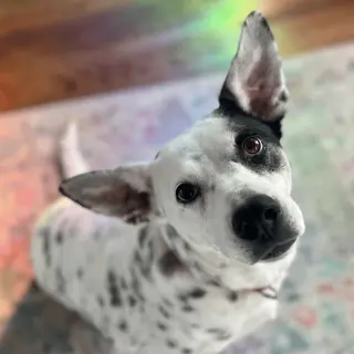 Nora
