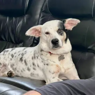 Nora