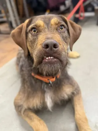 Chloe