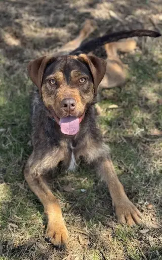 Chloe