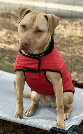 Logan