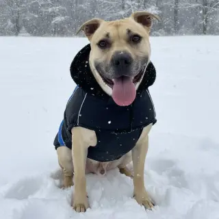 Hiro