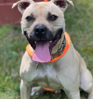Hiro