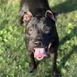Sammy