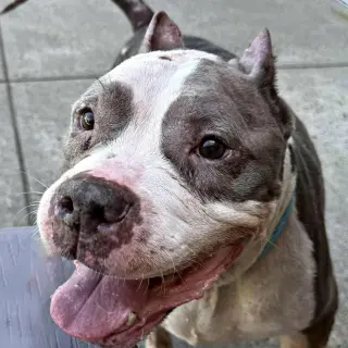Betty