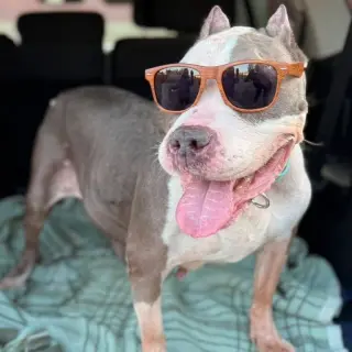 Betty