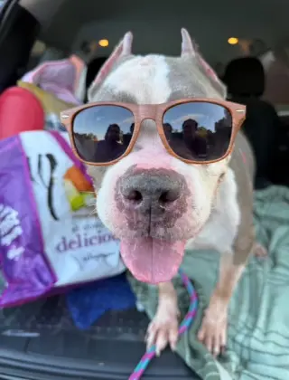 Betty