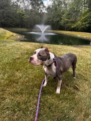 Betty