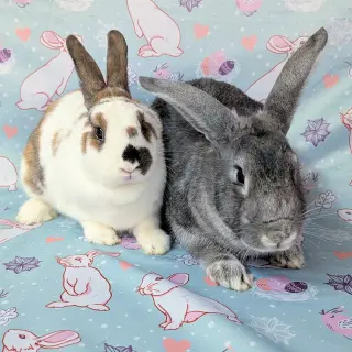 Kiki (bonded to Ponyo)