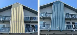 🎨🏠   CRUZ'S PAINTING SERVICES ¡PINTURA PROFESIONAL!