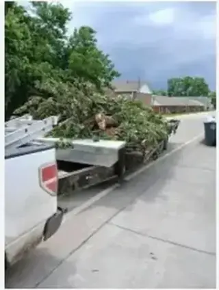JUNK REMOVAL PROFESSIONAL!!