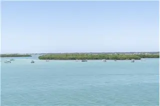 Rental property with 1 bedroom and 1.5 bathroom in Treasure Island