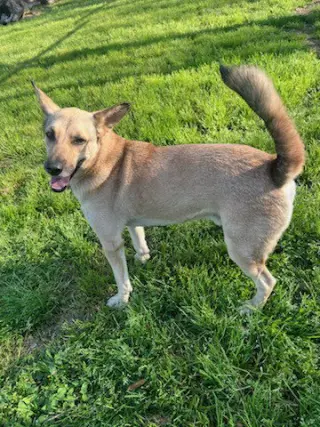 Xavier