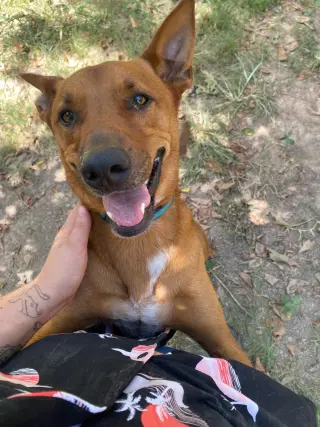 Tuck