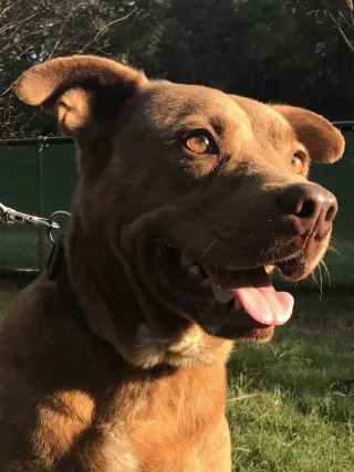 Ridge