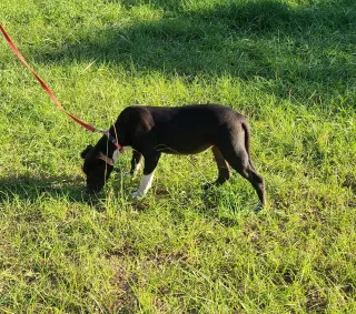 Oakley