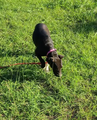 Oakley