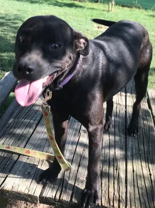 Jeffrey