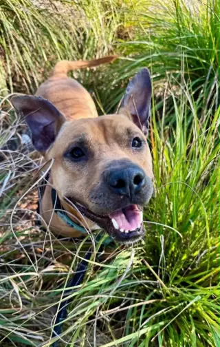 Charlie