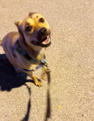 Charlie