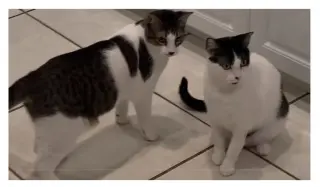 COURTESY POST: Venus & Mitra (Mom & Son)