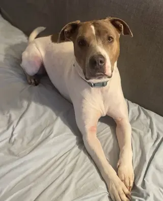 Moby