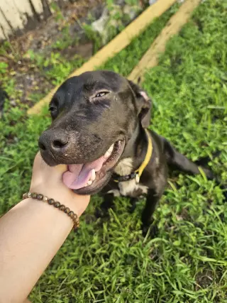 COURTESY POST: Pepper