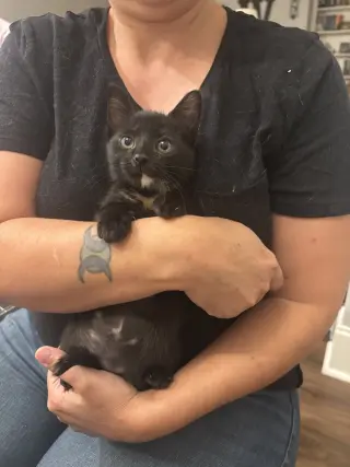 Supurrvisor