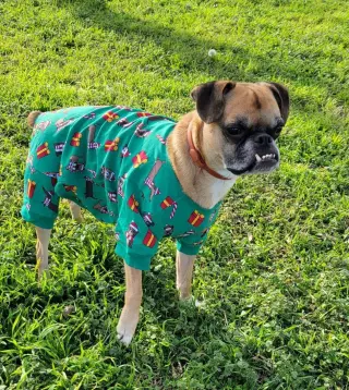 Nash