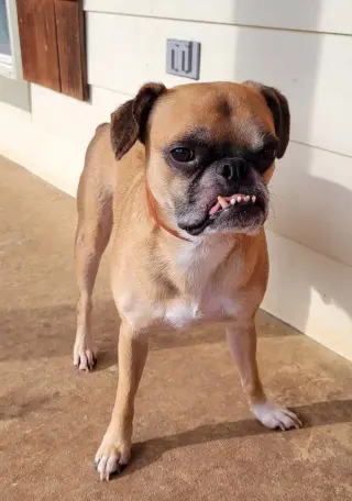 Nash