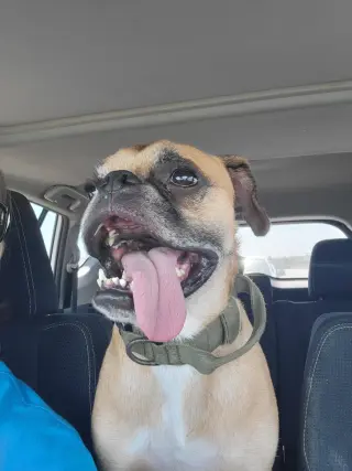 Nash