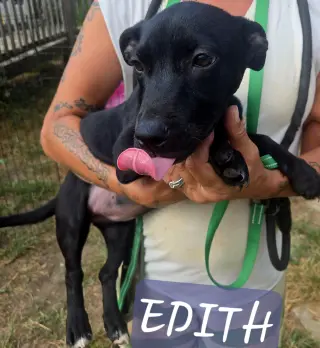Edith