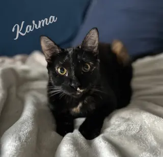 Karma #bonded-to-Jasper