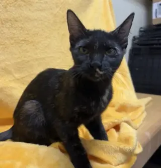Karma #bonded-to-Jasper