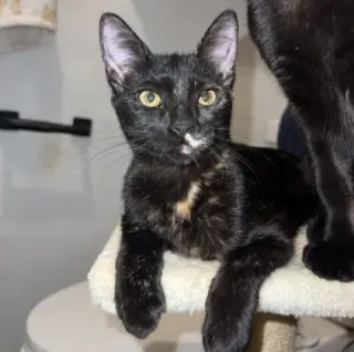Karma #bonded-to-Jasper