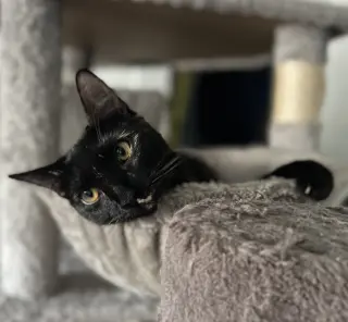 Karma #bonded-to-Jasper