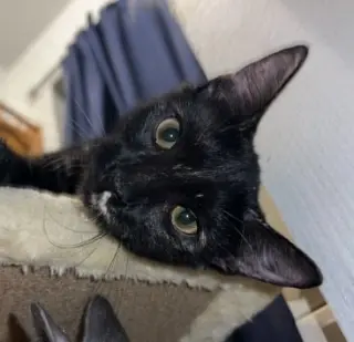 Karma #bonded-to-Jasper