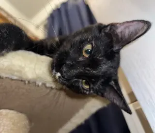 Karma #bonded-to-Jasper