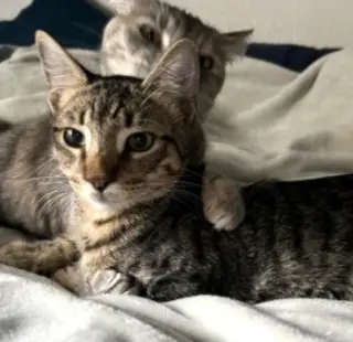 Jasper #bonded-to-Karma