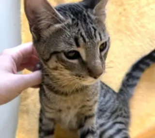 Jasper #bonded-to-Karma