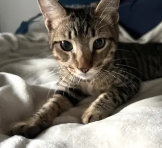 Jasper #bonded-to-Karma