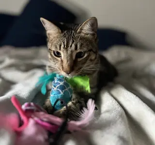 Jasper #bonded-to-Karma