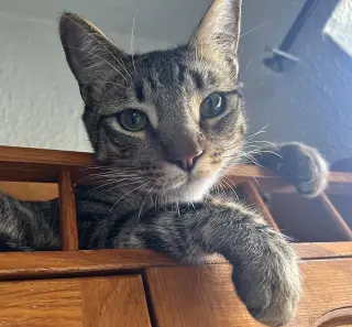 Jasper #bonded-to-Karma