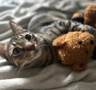 Jasper #bonded-to-Karma