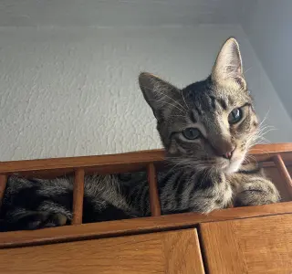 Jasper #bonded-to-Karma
