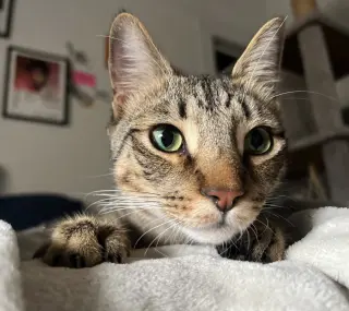 Jasper #bonded-to-Karma