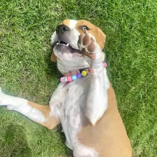 Millie
