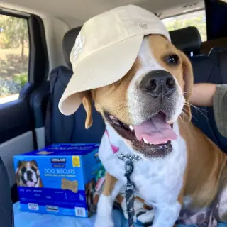 Millie