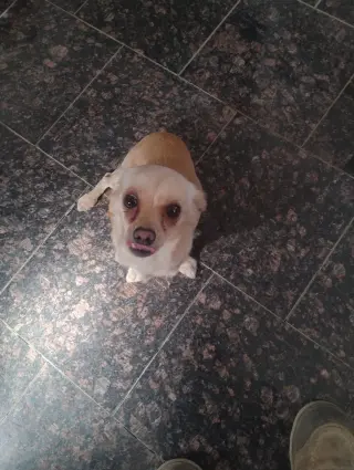 Coco